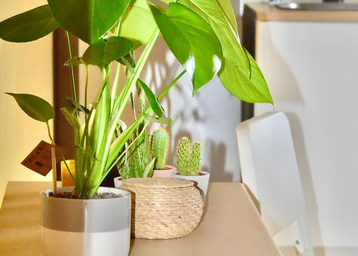 Apartament Attico Vista Mare *